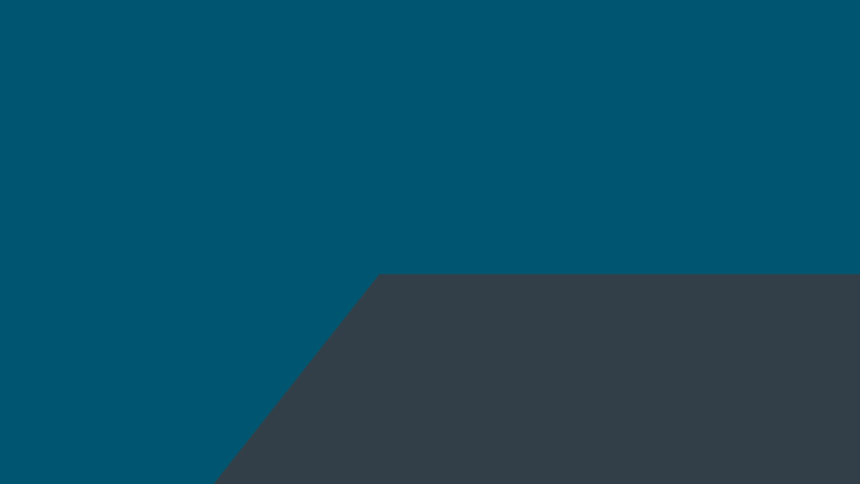 The Digital Services Act: creating a safe digital space with Europe